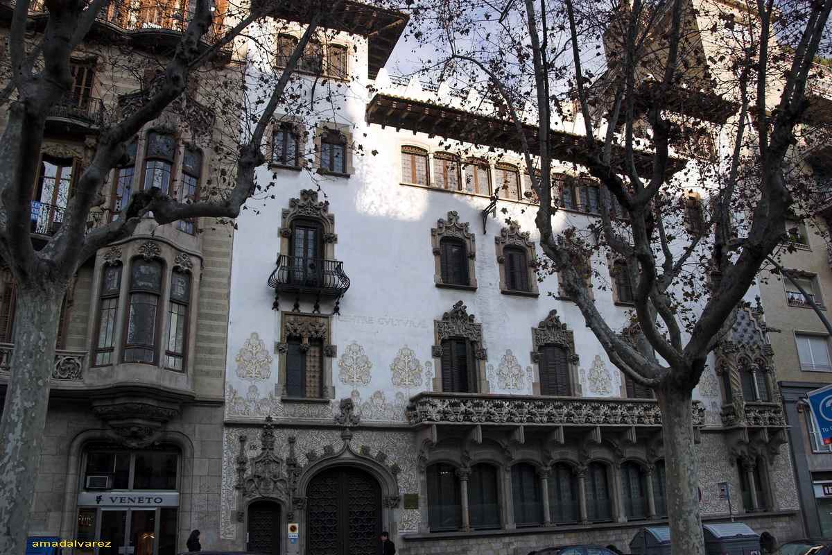 Casa Macaya (Palau Macaya)